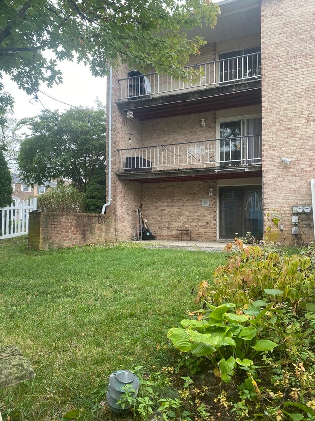 Backyard - 1424 Boxwood Dr