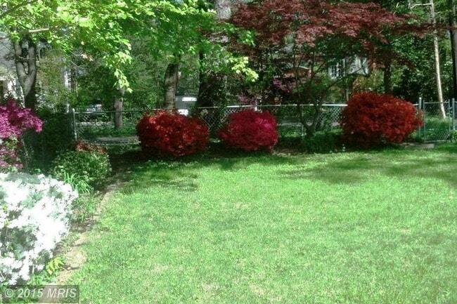 Back yard - 9707 Bristol Ave