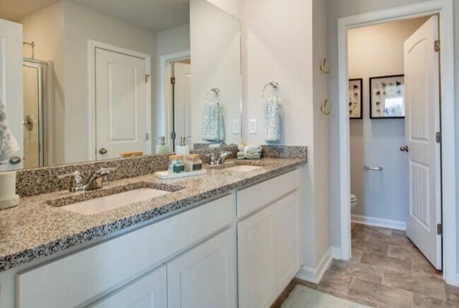 Master bathroom - 223 Catherine Ln