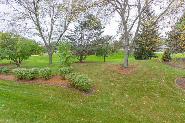 Foto del edificio - 737 Candleridge Ct