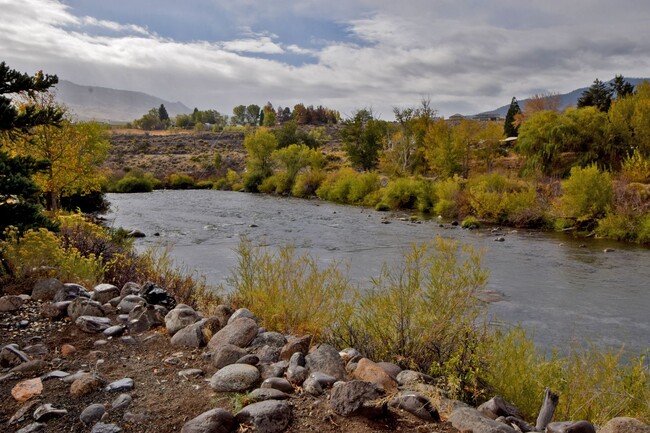 Foto del edificio - Live On the Edge of Truckee River!