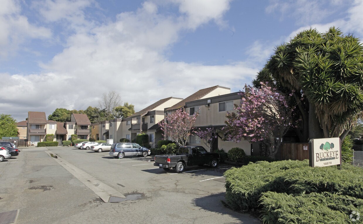 Primary Photo - Buckeye Apartments