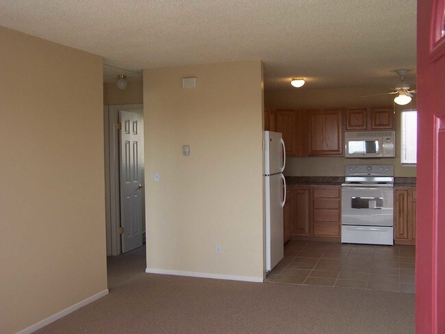 Living room/Kitchen - 1006 Western Dr