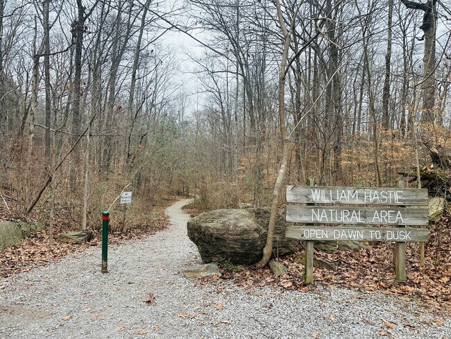 Foto del edificio - Remodeled 3BR Home in South Knoxville Near Urban Wilderness | Huge Yard + Carport