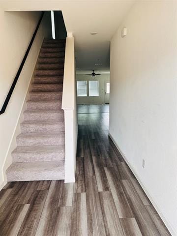 Building Photo - 4416 Marsh Hawk Dr