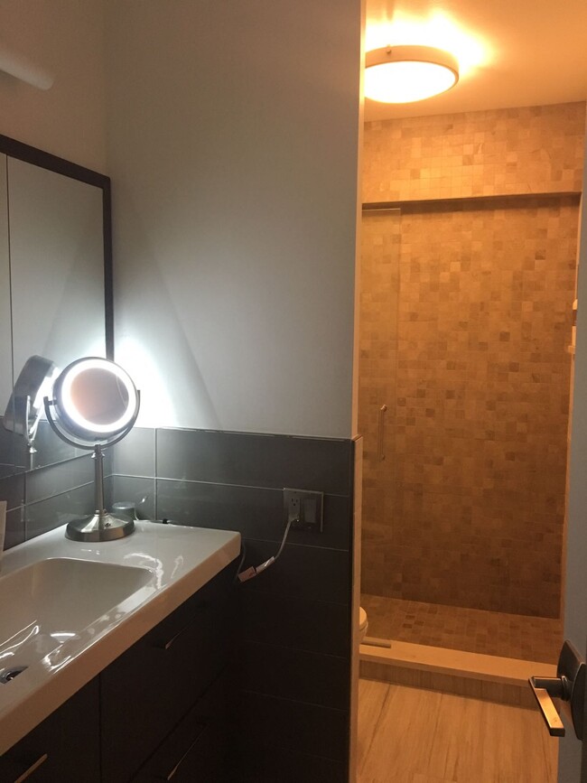 REMODELLED BATHROOM - 535 N Michigan Ave