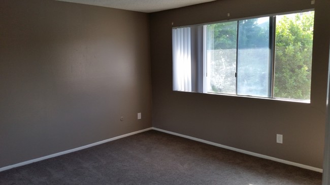 Large bedrooms - Pinecrest Apartments