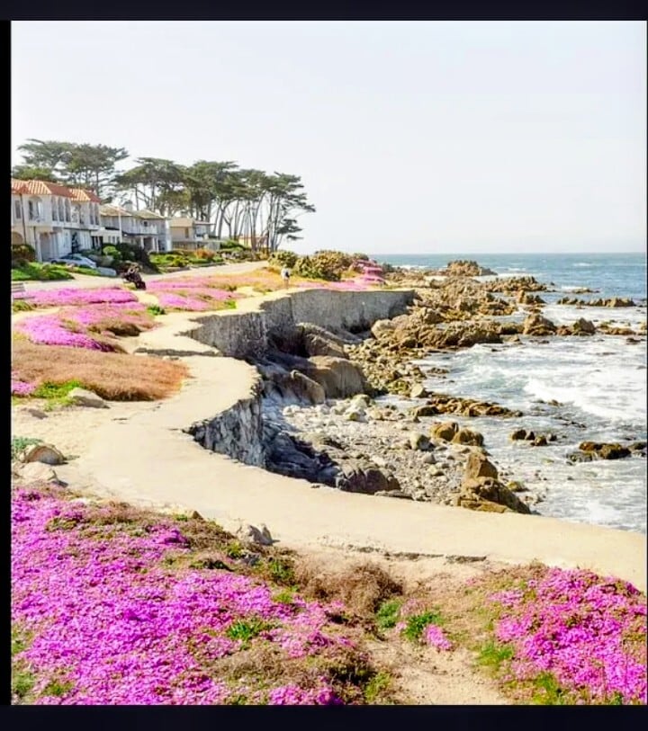 Foto principal - 699 Lottie St