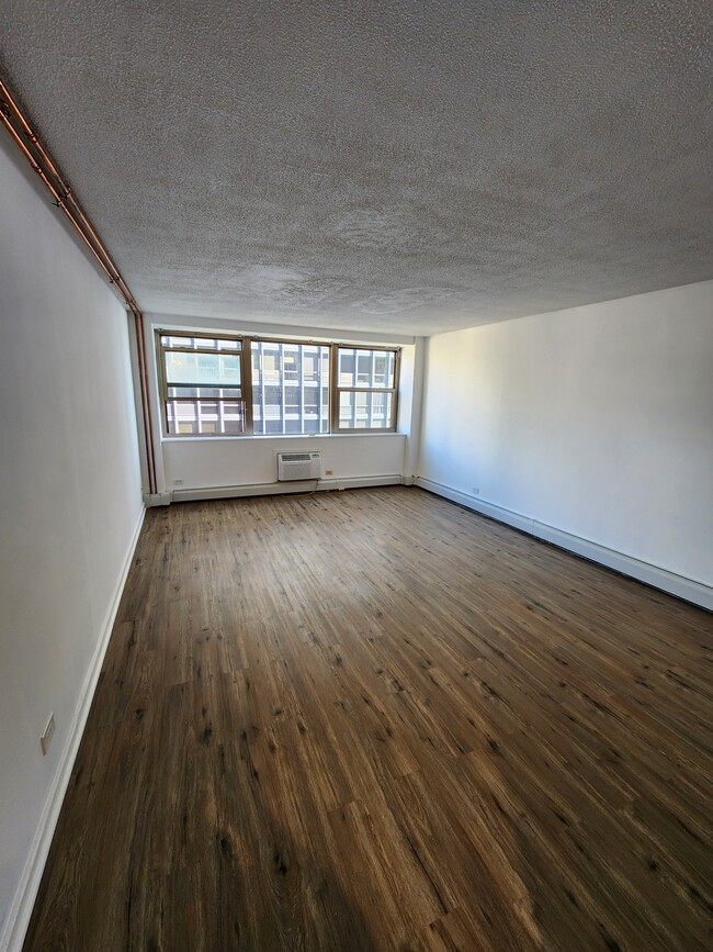 Living room - 253 E Delaware Pl