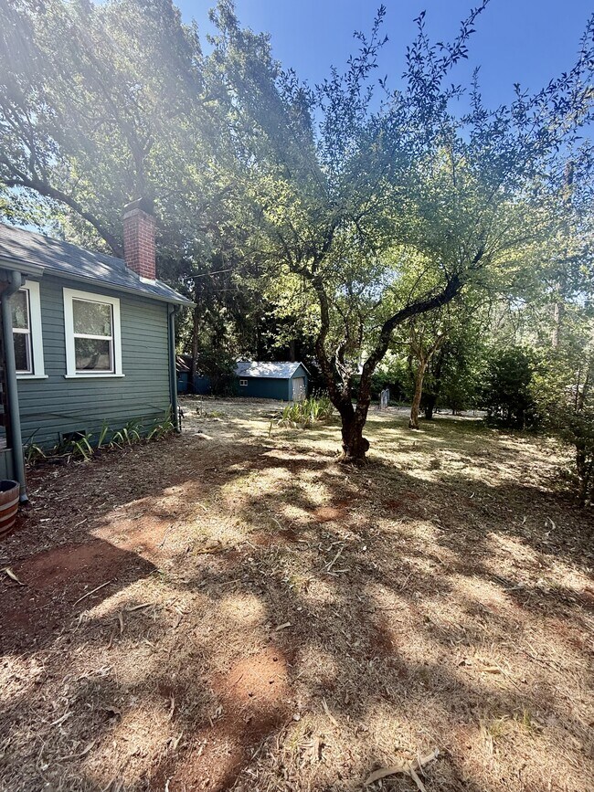 Foto del edificio - 10819 Conifer Ln