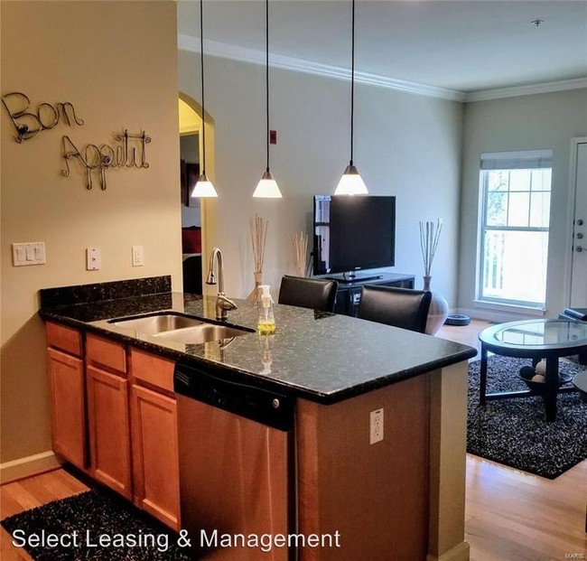 Building Photo - 2770 Mcknight Crossing Ct