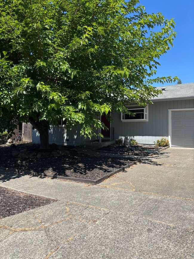 Building Photo - 3 bedroom Rincon Valley