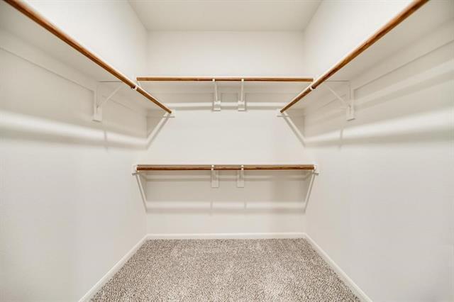 Building Photo - 804 Jackel Dr