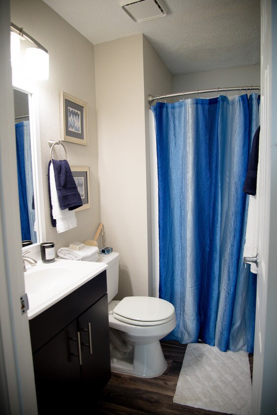 Cobalt Springs Apartments in Taylors, SC