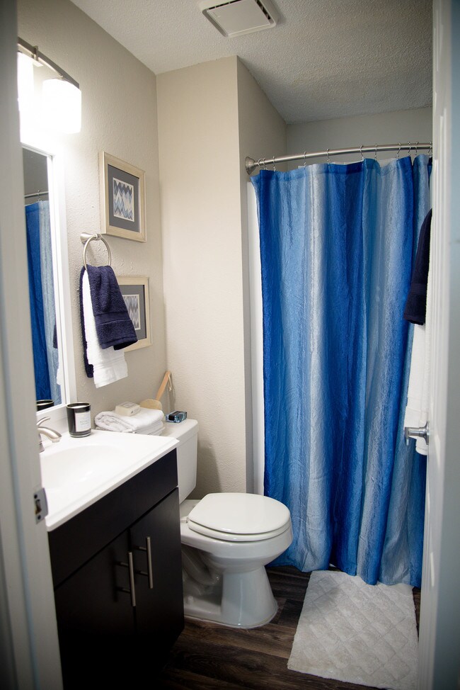 Cobalt Springs Apartments in Taylors, SC