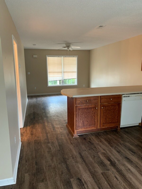 Liv/rm Kitchen Area - 209 Springfield Cir