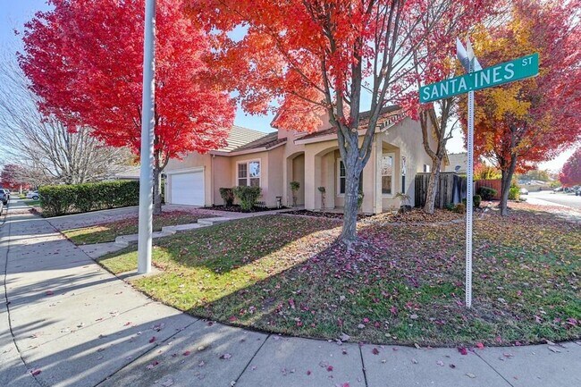 Building Photo - Gorgeous Roseville 4 Bedroom