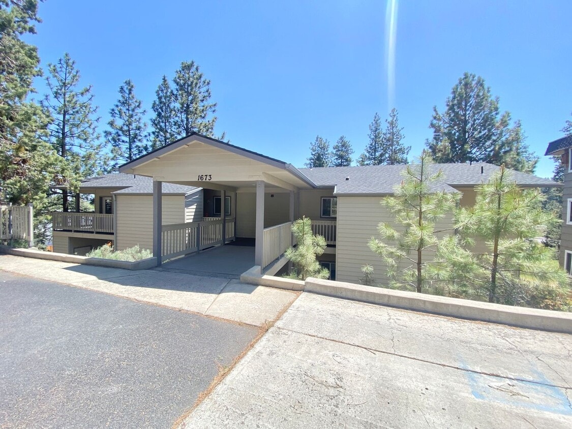 Primary Photo - P1673