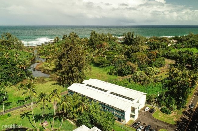 Building Photo - 1365 Kalanianaole Ave