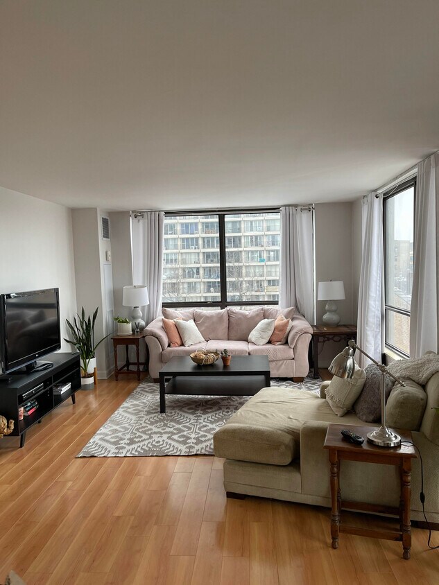 Living Room - 2020 N Lincoln Park W