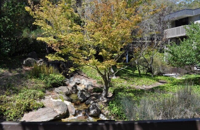 Foto del edificio - 6117 Shelter Creek Ln