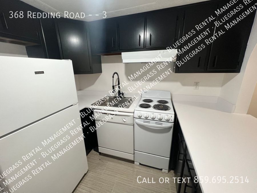 Primary Photo - Newly Renovated Spacious 1 Bed in Amazing ...