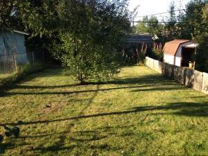 Backyard - 3221 E 43rd Ave