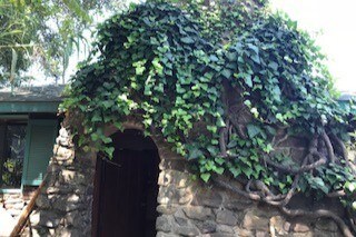 Magical Ivy entrada cubierta - 713 Robinson Rd