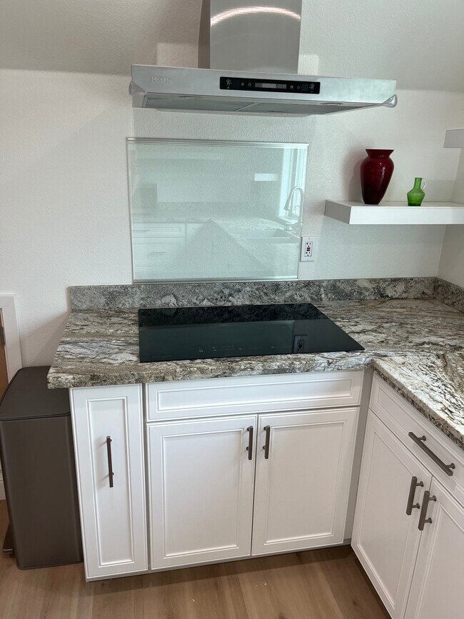Induction cooktop - 6696 Mosquito Rd