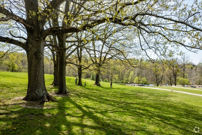 Play under the trees in the Carnegie neighborhood.