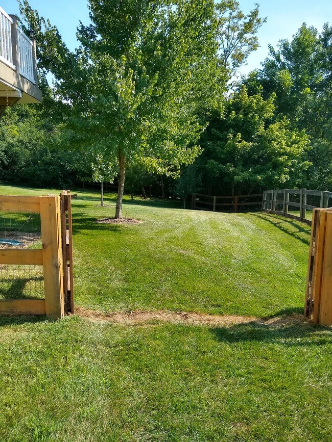 Fenced Back yard - 1449 Urlage Dr