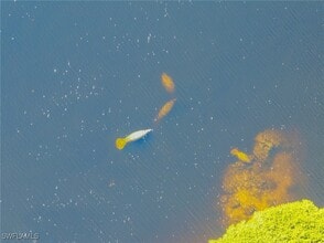 Building Photo - 17288 Hidden Estates Cir