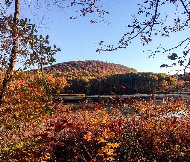 Middletown