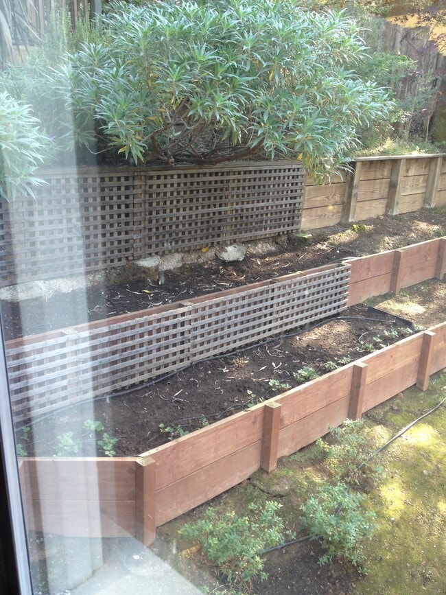 veggie beds - 118 Taylor Dr