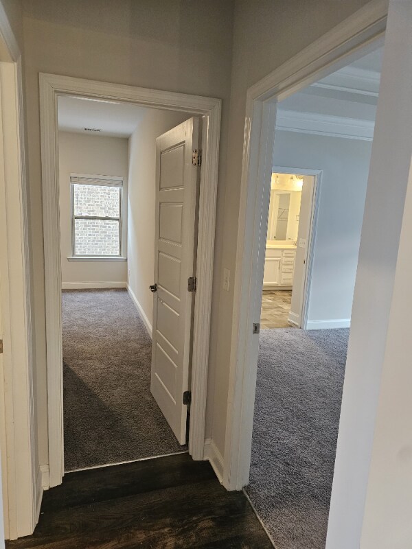 Foto del edificio - 107 Cypress Holw Trl