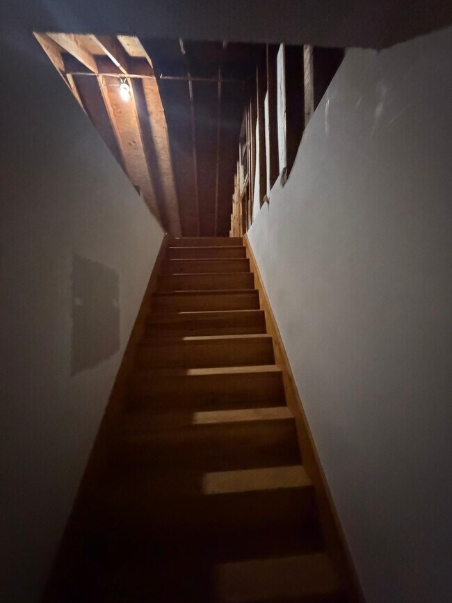 Foto del edificio - 61 Tracey St