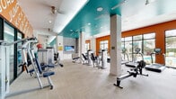Located at 4460 Lower Park Rd in Orlando, FL, this fitness center is a single-floor facility designed to deliver a comprehensive workout experience. The space features a bold, energetic aesthetic defined by a striking teal-painted ceiling, vivid orange accent walls adorned with motivational fitness typography, and clean white structural columns that frame the open floor plan. Light-toned carpet tile flooring runs throughout, lending a modern and comfortable feel underfoot.

The cardio zone is positioned along the perimeter near large floor-to-ceiling windows, allowing abundant natural light to fill the space while offering views of the outdoor pool area and surrounding greenery. Treadmills, elliptical trainers, and stationary bikes from True Fitness are arranged to maximize both comfort and sightlines.

The strength training area is generously equipped with a variety of selectorized machines and cable systems for full-body conditioning. A dedicated free weights section includes a full dumbbell rack, exercise benches, stability balls, and resistance bands, complemented by a floor-to-ceiling mirror wall that enhances the sense of space. A wall-mounted flat-screen TV adds entertainment for longer workout sessions.

The layout flows intuitively between zones, supporting a complete fitness routine in one cohesive environment. The combination of dynamic color, plentiful natural light, and thoughtfully arranged equipment makes this facility both functional and motivating.