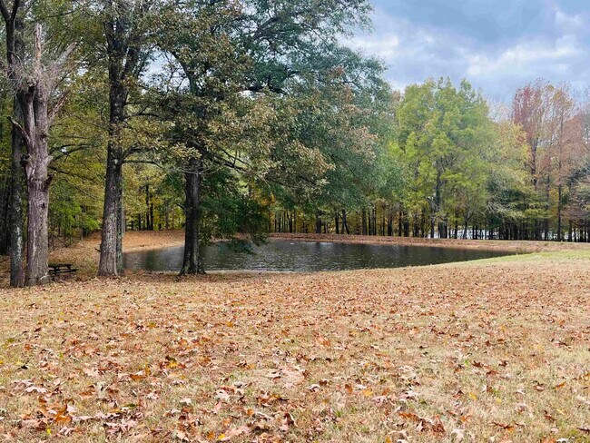 Building Photo - 219 N Reid Hooker Rd