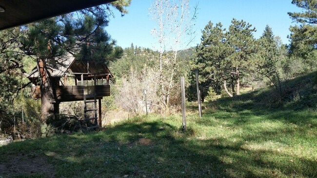 Foto del edificio - 853 Wagonwheel Gap Rd