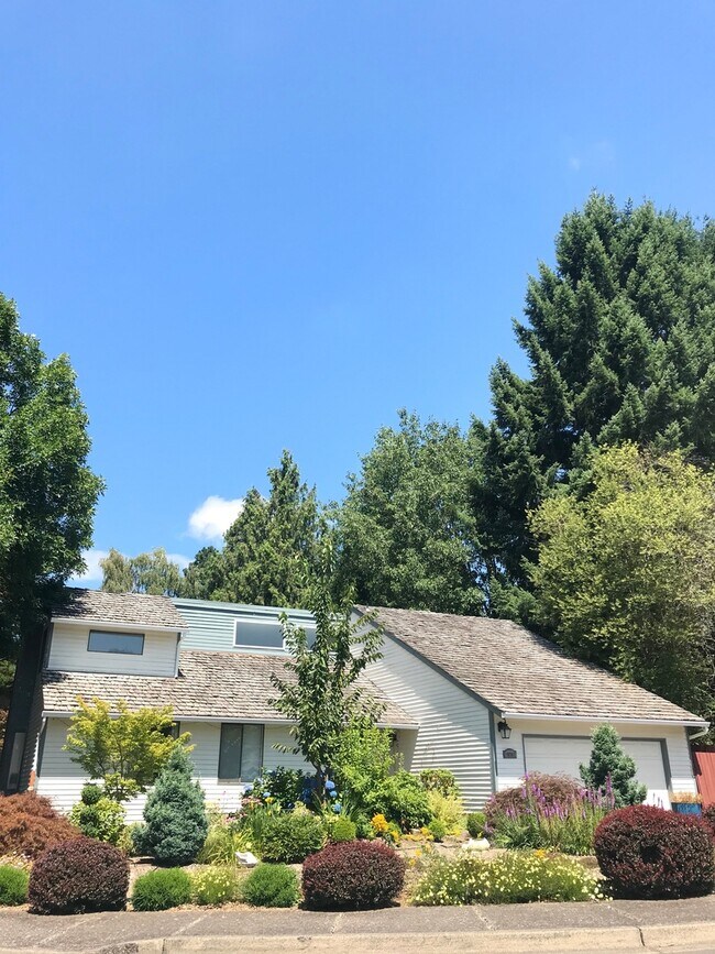 Building Photo - Large Home on Large Fenced Lot with Remode...