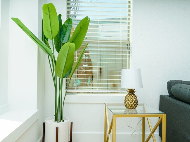 Foto del edificio - 3 Bedroom Single Family Home in Houston