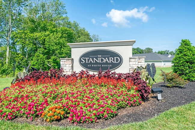 Building Photo - The Standard at White House Apartments