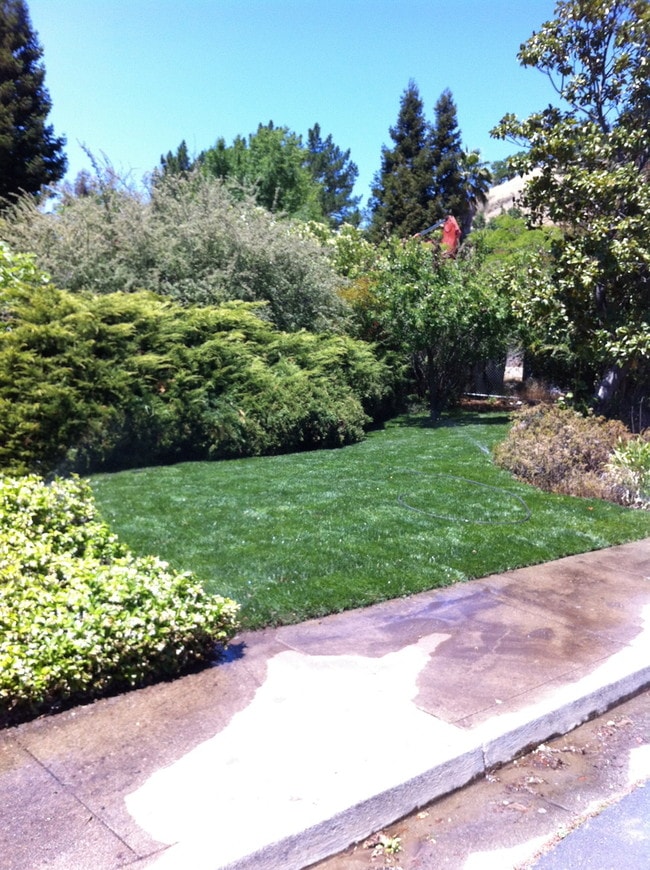 Building Photo - 327 Clarkin Ct