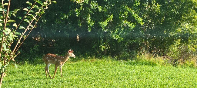 Foto del edificio - 29351 Snap Hook Dr