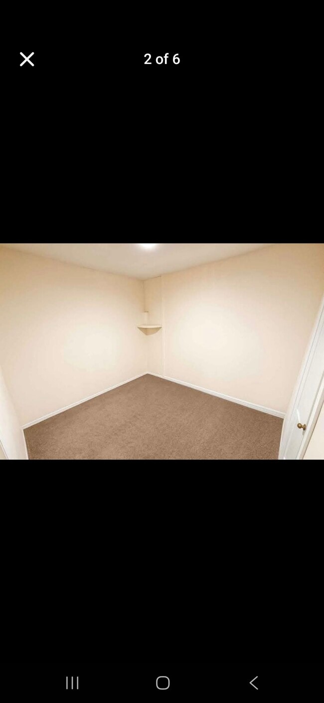 Foto del edificio - 2025 Bearing Ln