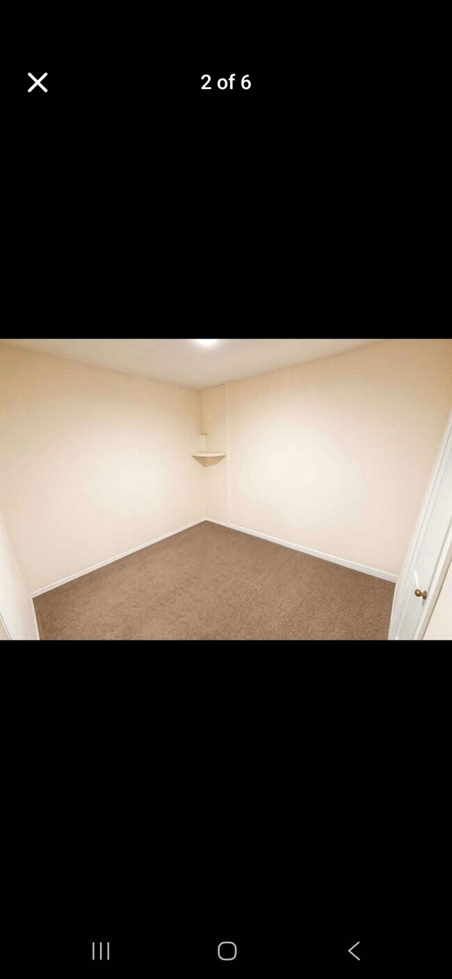 Building Photo - 2025 Bearing Ln