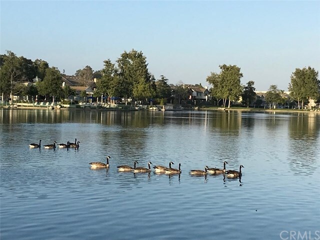 Foto del edificio - 76 Lakeside Dr