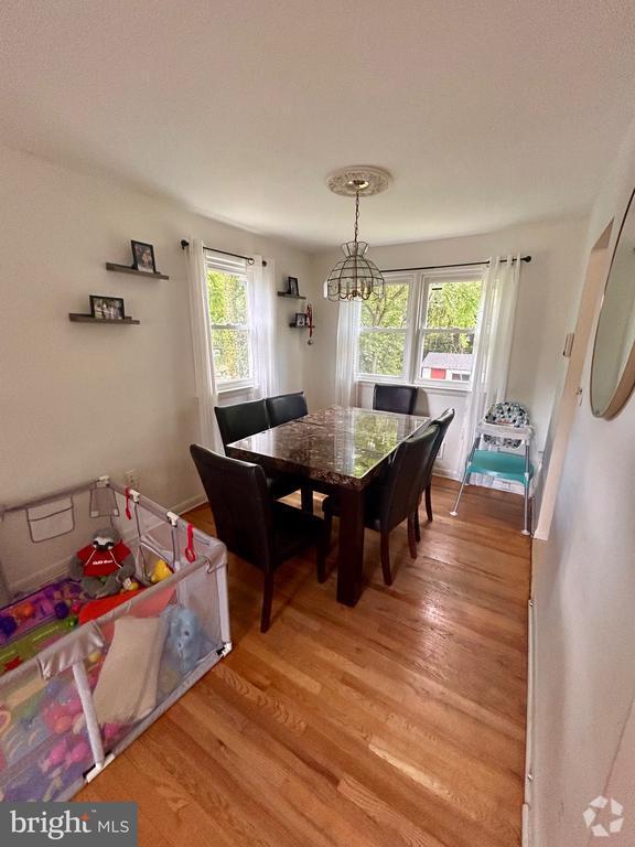 Andrew Hills Basement Apartments for Rent Temple Hills, MD 1