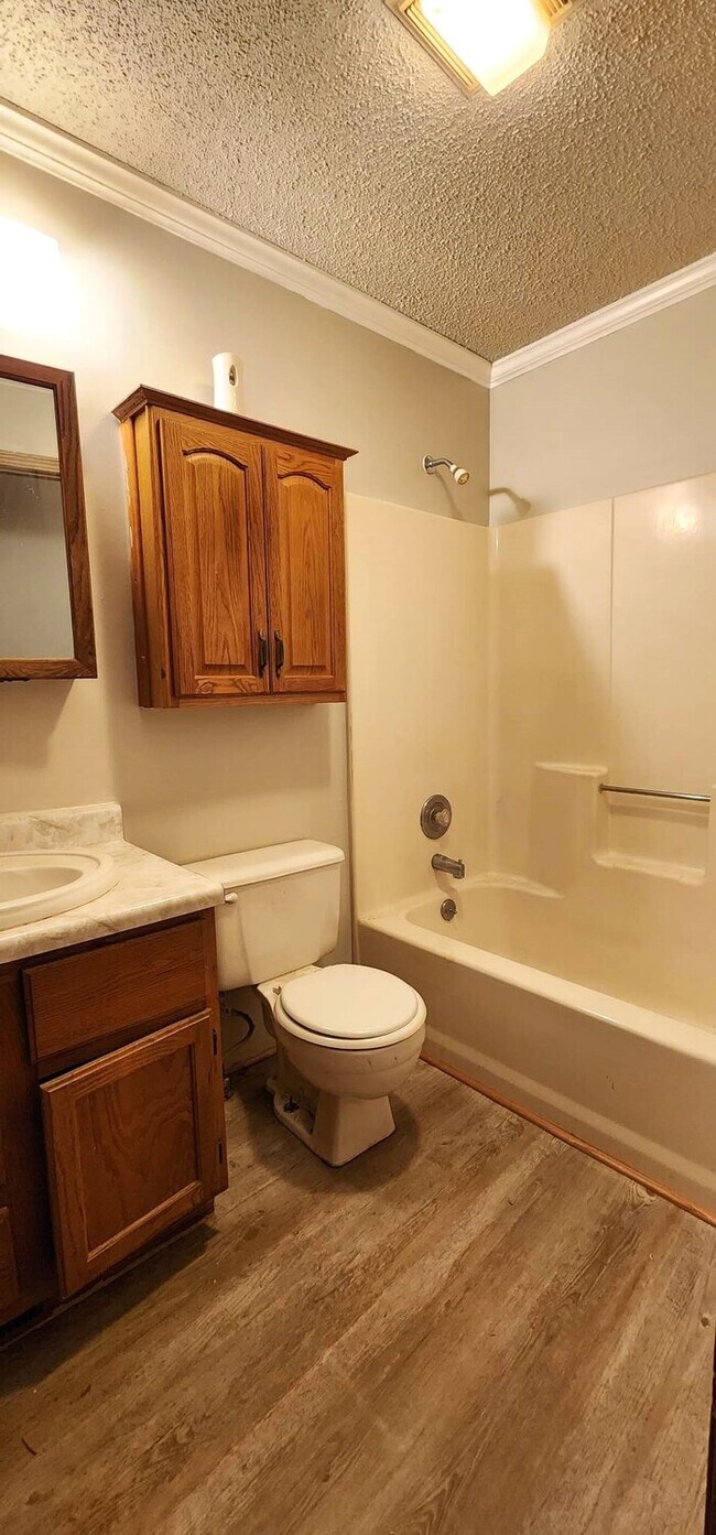 206 N Jackson Ave, Knob Noster, MO 65336 House Rental in Knob Noster