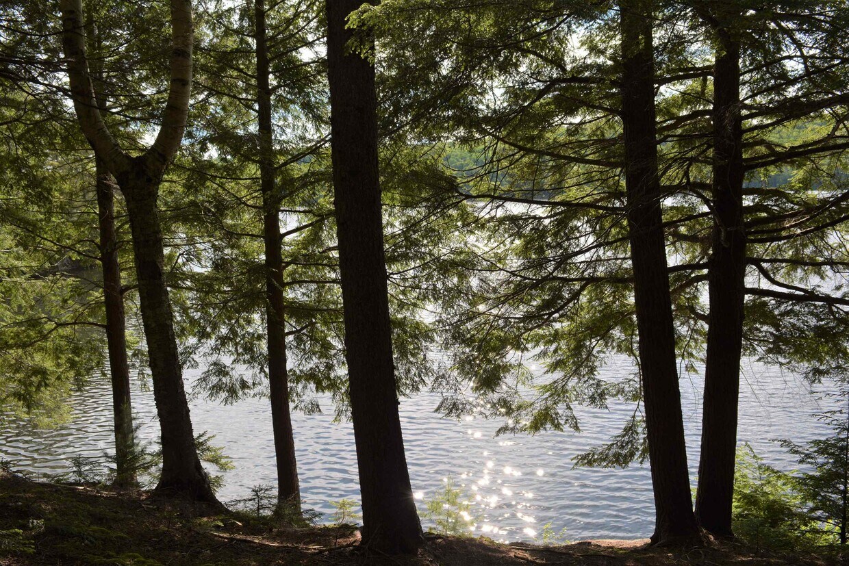 15 Loon Dr, Grantham, NH 03753 House Rental in Grantham, NH